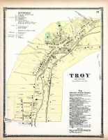 Troy 2, Bradford County 1869